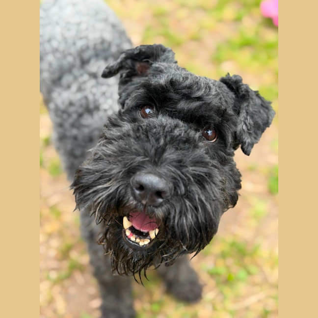 Photo of Clodagh