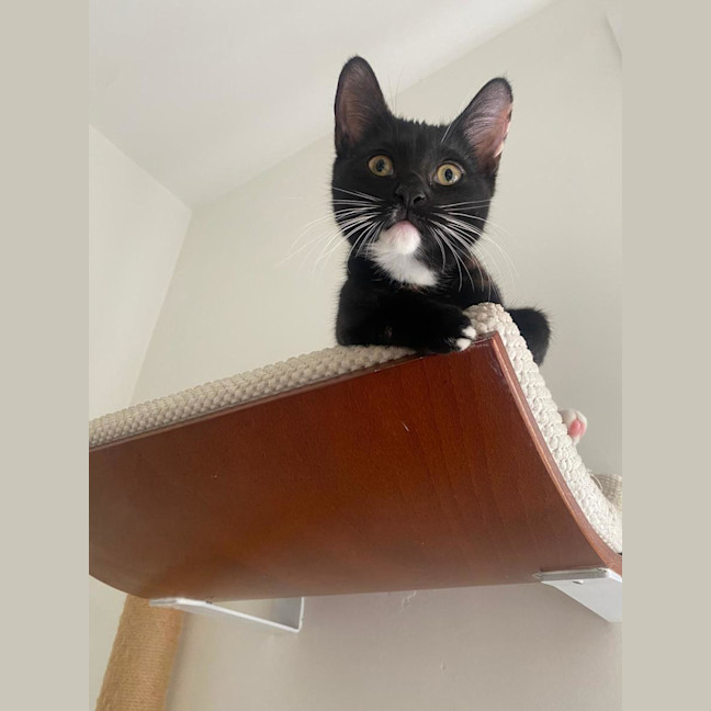 Photo of Ayla
