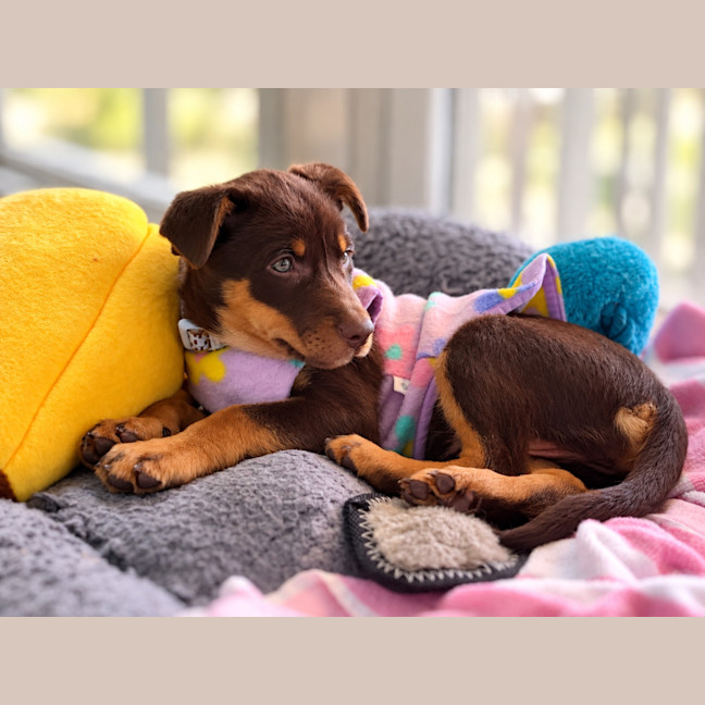 Photo of Molly