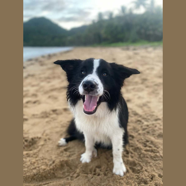 Photo of Lenny