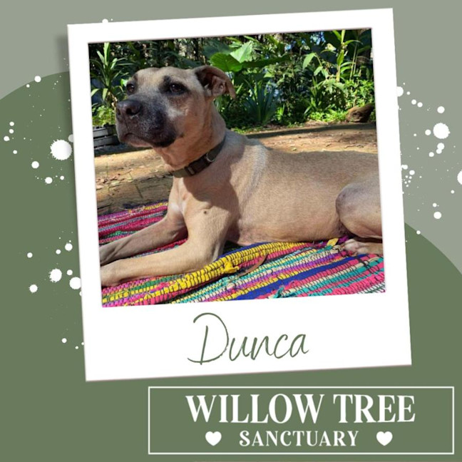 Photo of Dunca