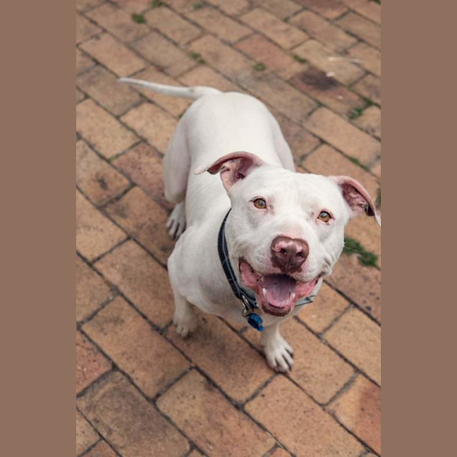 Photo of Ghost