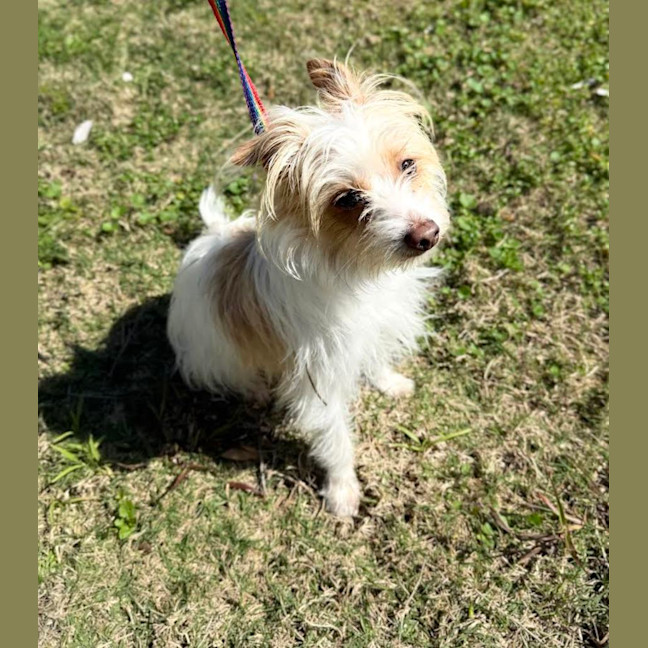 Photo of Bert (9003)