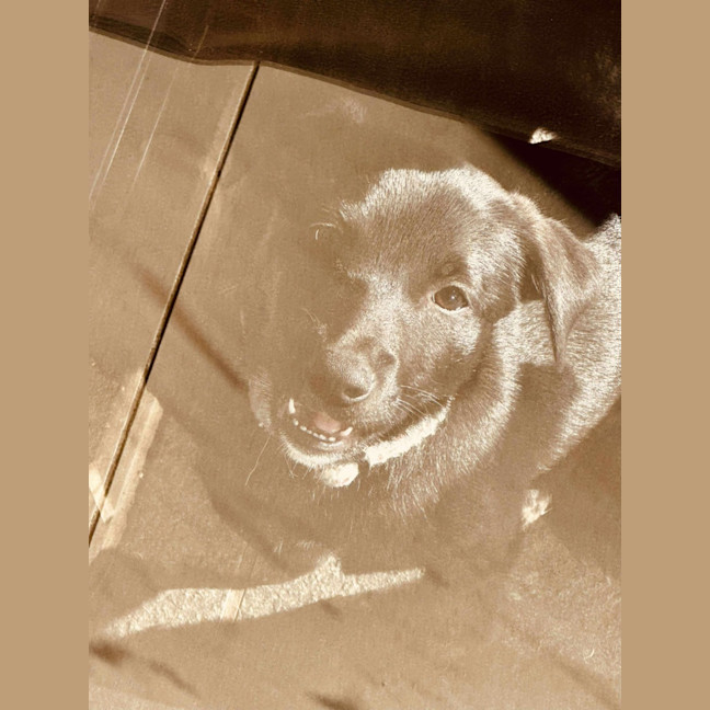 Photo of Austin