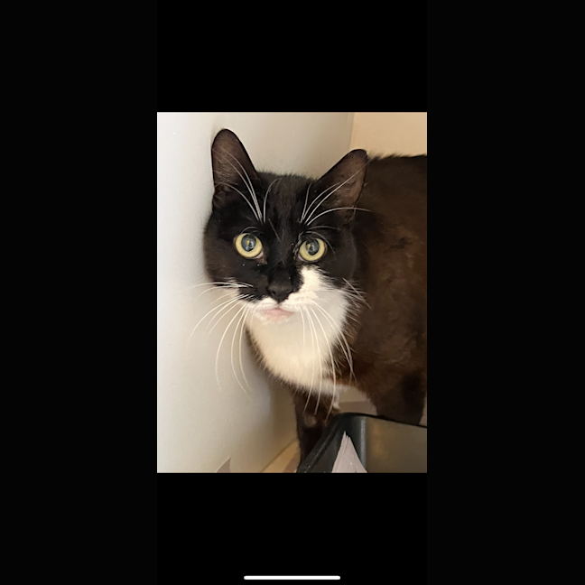 Photo of Evie Dwelly