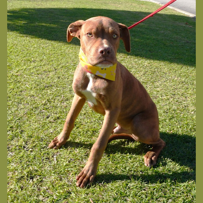 Photo of Gus