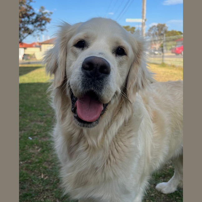 Photo of Zeus