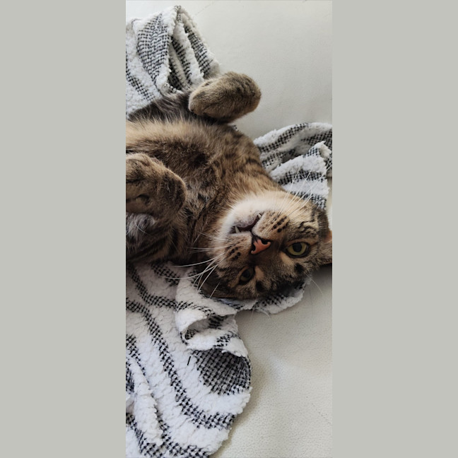Photo of Leo