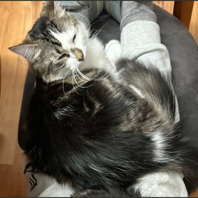 Photo of Candlestick