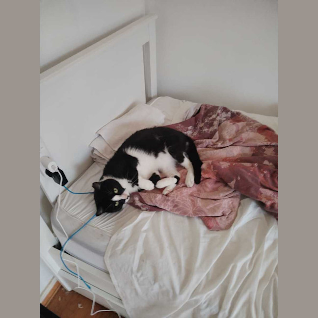Photo of Sunny