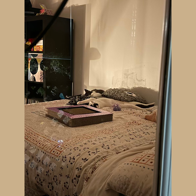 Photo of Penny & Essie 