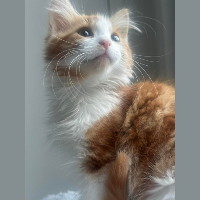 Photo of Jean