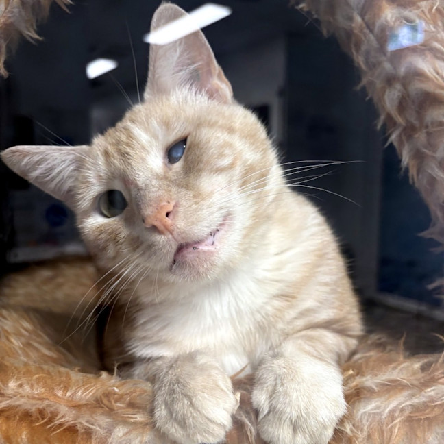 Photo of Pluto Sta012999