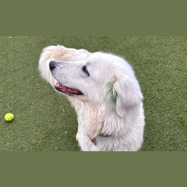 Photo of Darla