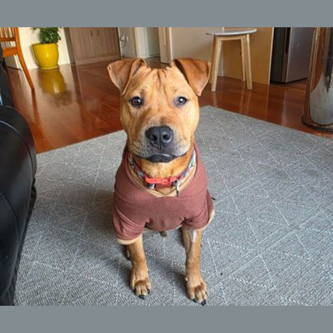 Photo of Mumble