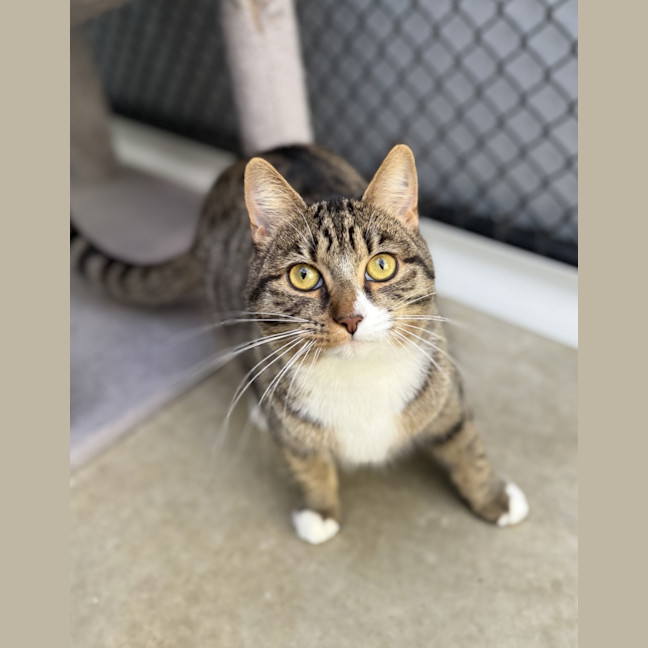 Photo of Phoebe