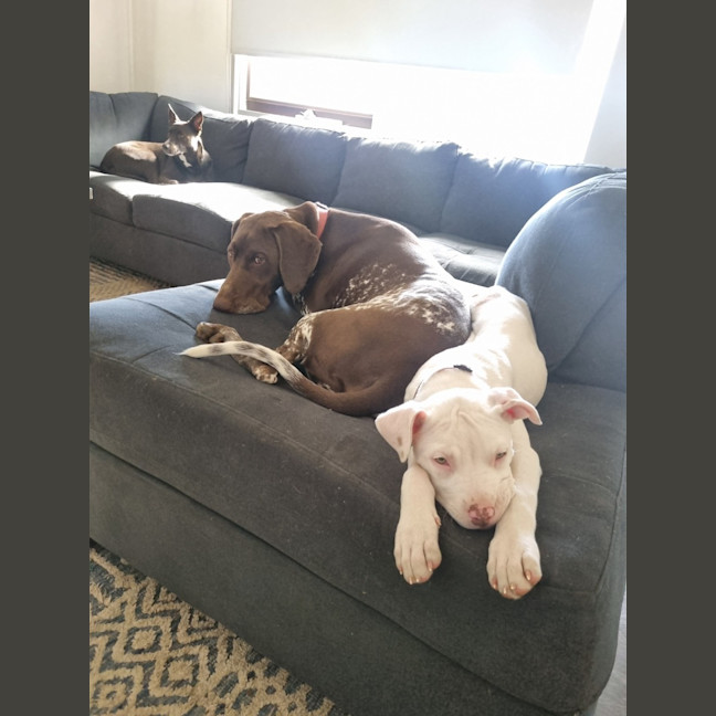 Photo of Winifred (Winnie)