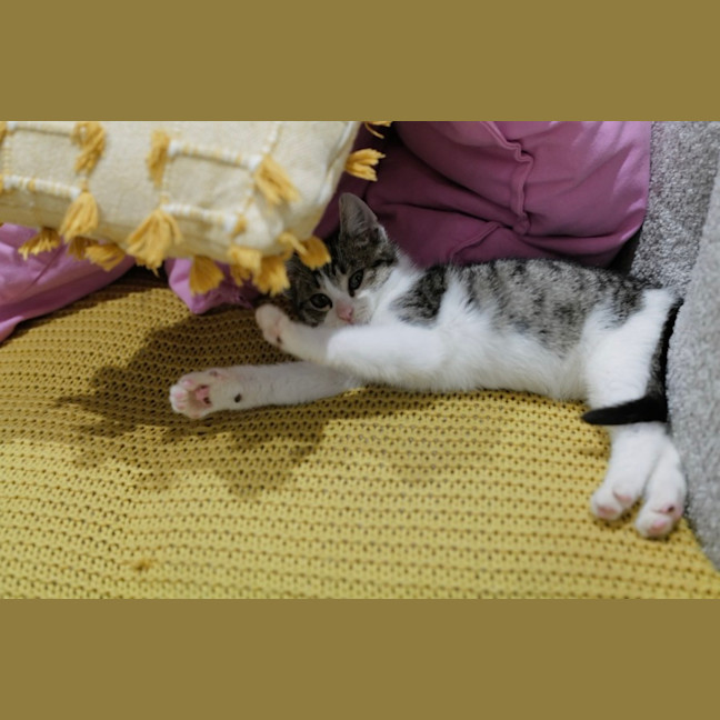 Photo of Digory