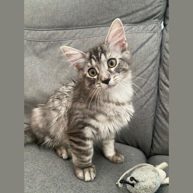 Photo of Leo