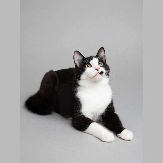 Photo of Bonnie