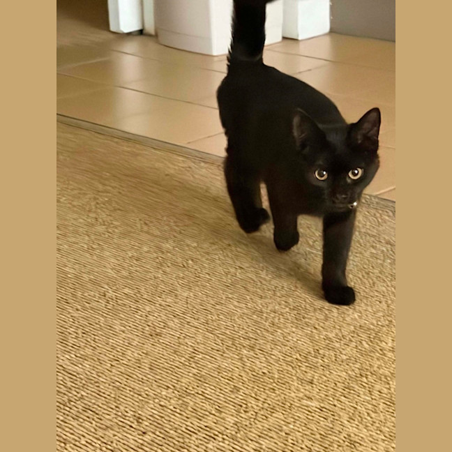 Photo of Jasper