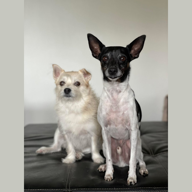 Photo of Tilly And Finn