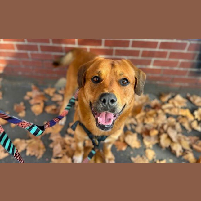 Photo of Clifford