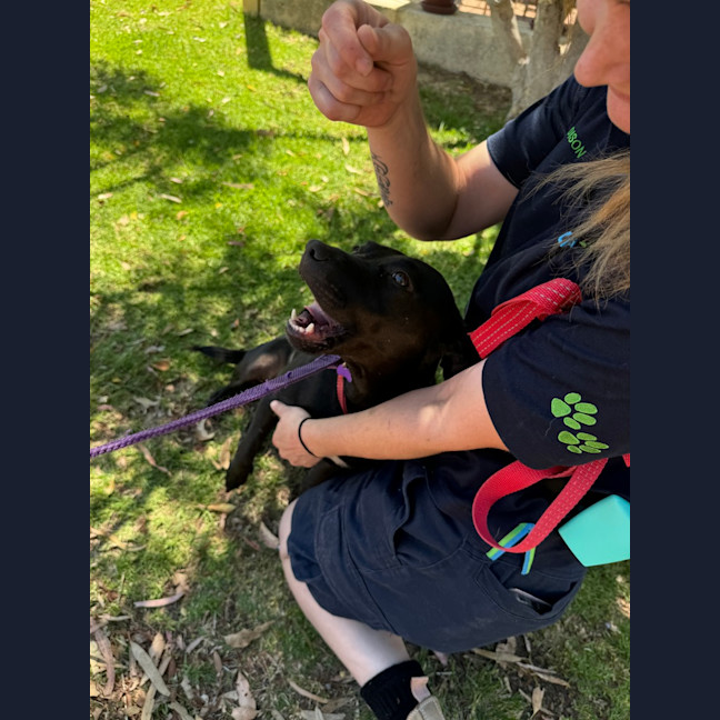 Photo of Dakota