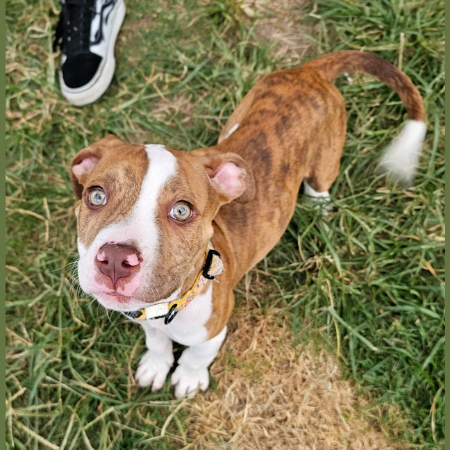 Photo of Candy
