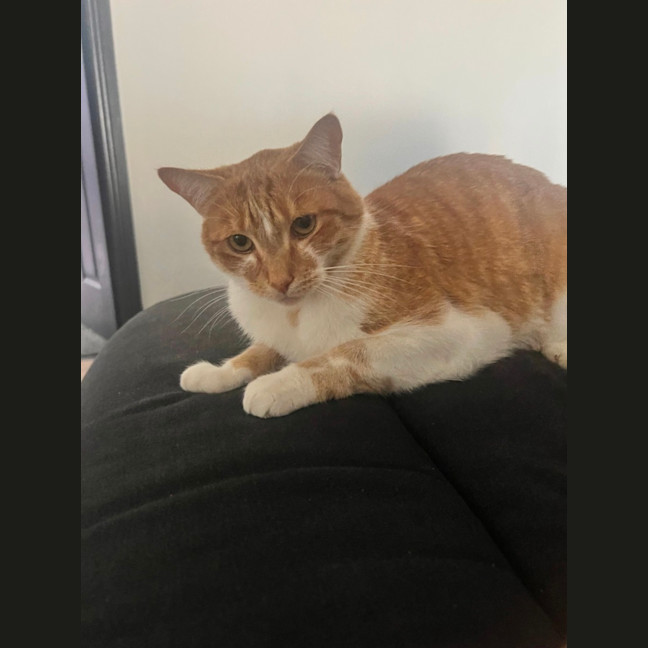 Photo of Bruce