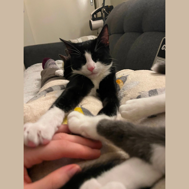 Photo of Jalapeno