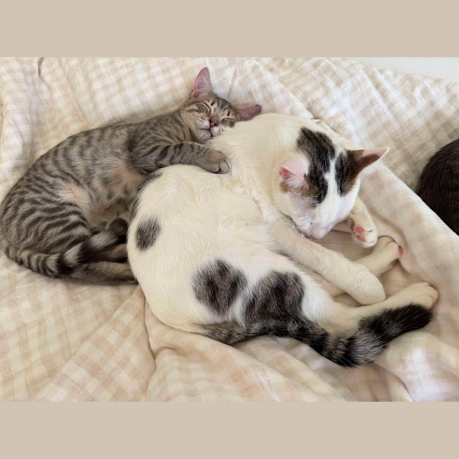 Photo of Wilson 🤍