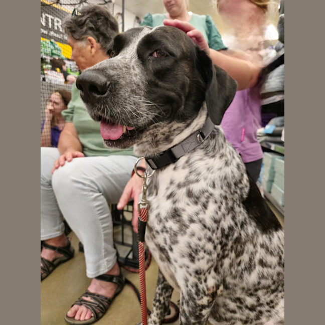 Photo of Roxy