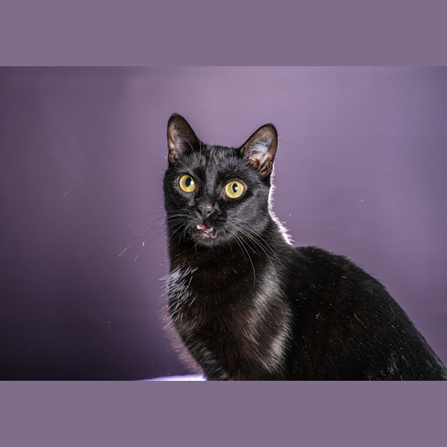 Photo of Betty