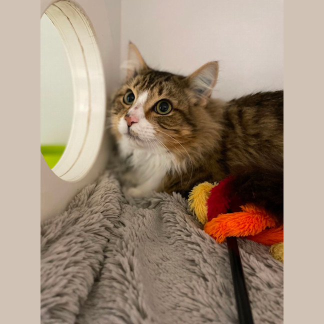 Photo of 🧭 Elijah 5198 🧭