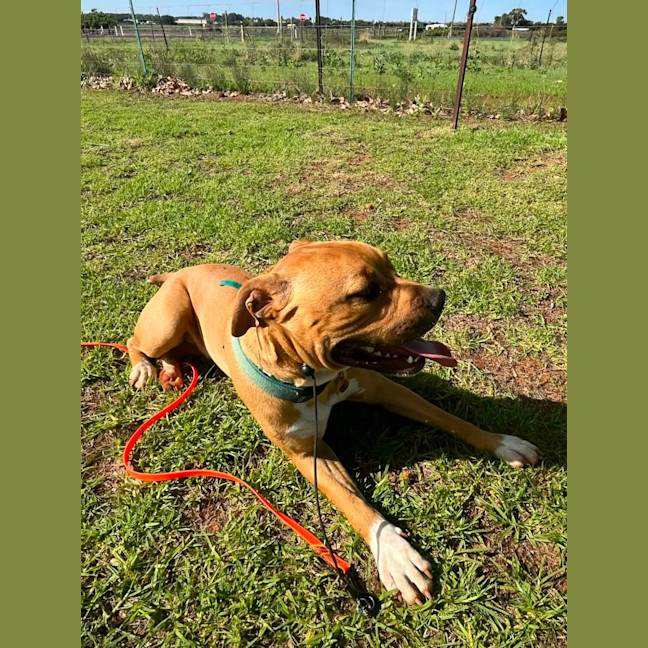 Photo of Zuko
