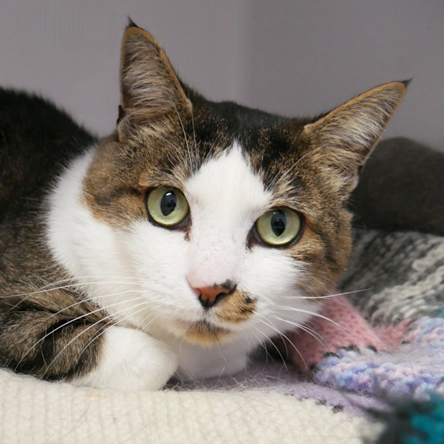 Photo of Ben Sta012850