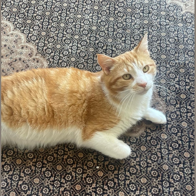 Photo of Willy Wonka