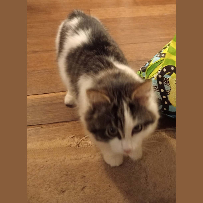 Photo of Stormy Von Bunny Bum 