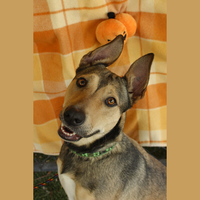 Photo of Cherrie