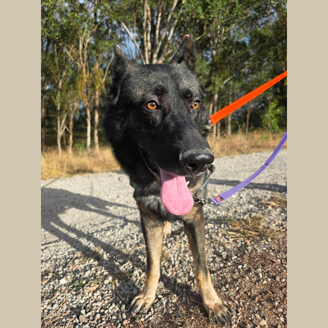 Photo of Atlas
