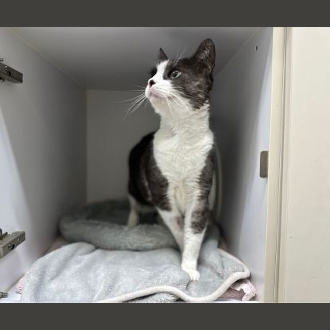Photo of Starla
