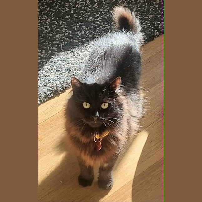 Photo of Maggie