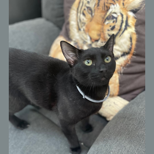 Photo of Roland (0157)