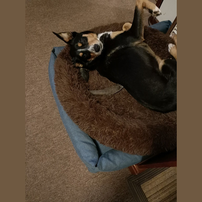 Photo of Molly