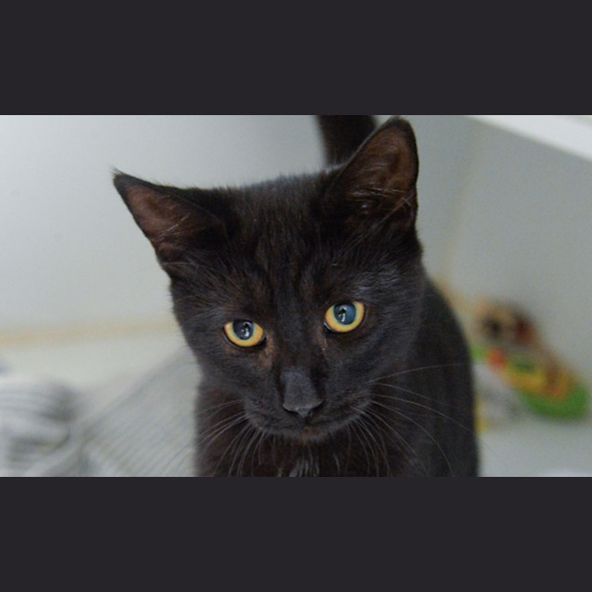 Photo of Maude