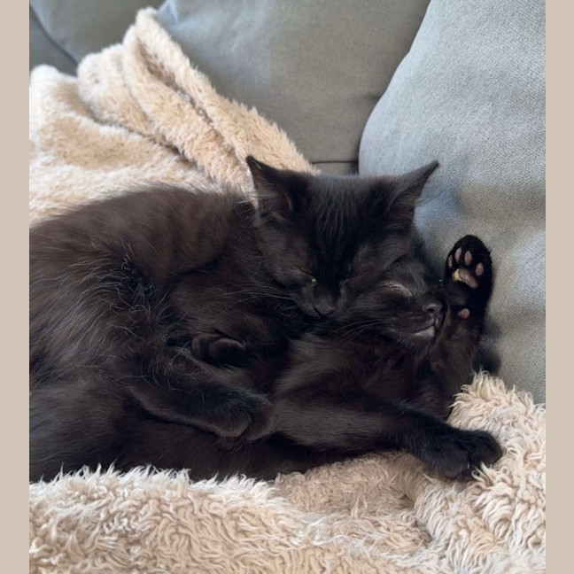 Photo of Adam And Alba   Beautifully Bonded ❤️