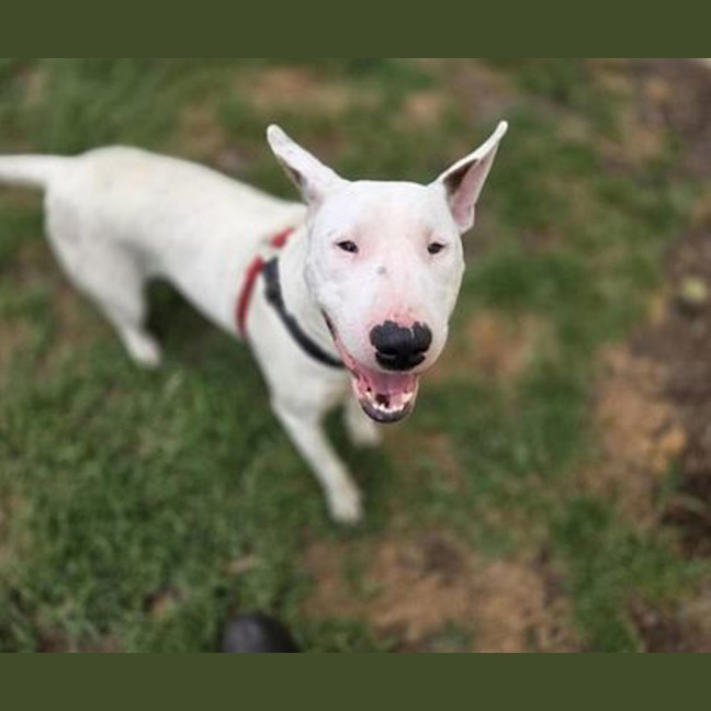 Photo of Roxie