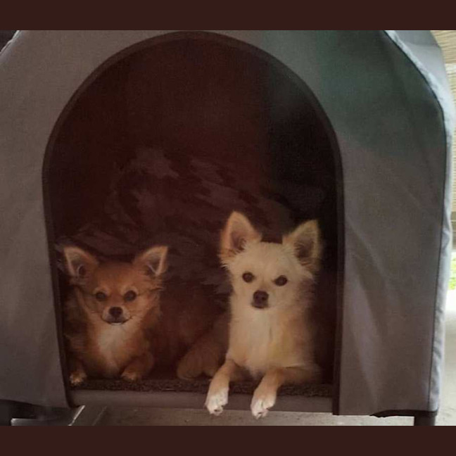 Photo of Reeba And Allan 