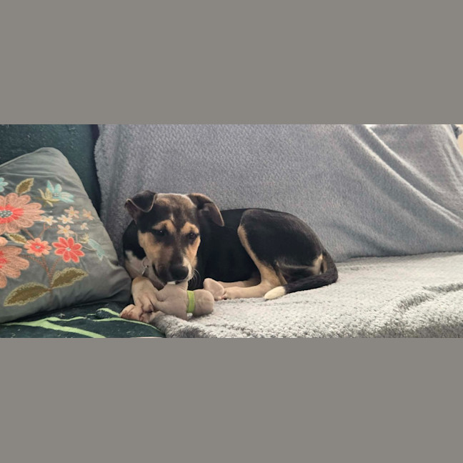 Photo of Zara